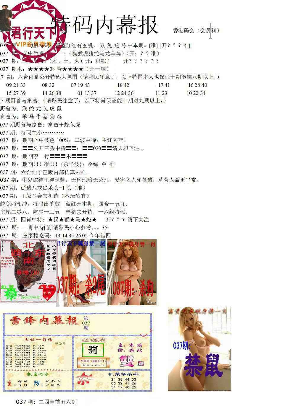 037期特码内幕报[图]