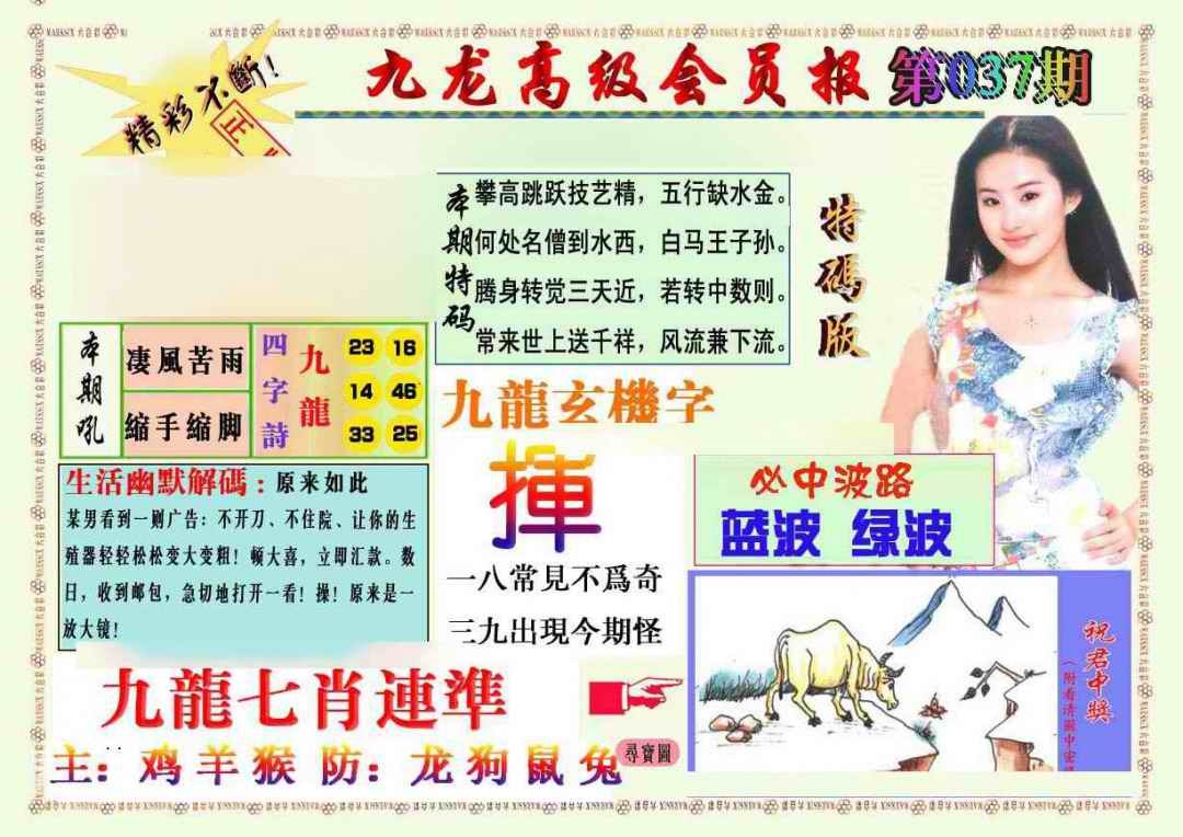 037期九龙高级会员报[图]